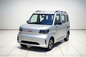 五菱汽车 五菱之光新能源 2025款 201km 标准型