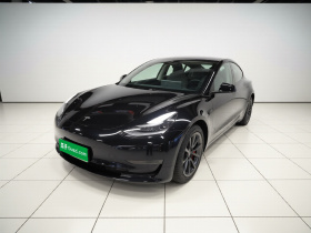 特斯拉 Model 3(进口) 2019款 长续航后驱版