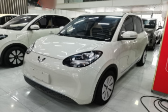 五菱汽车 五菱缤果 2023款 203km 轻享款