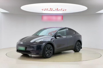 特斯拉 Model Y 2024款 后轮驱动版