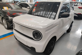 吉利银河 2024款 熊猫mini 200km 耐力熊