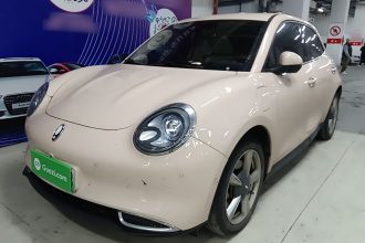 欧拉好猫 2022款 莫兰迪版 400km标准续航 尊贵型 三元锂