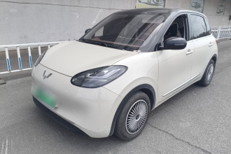 五菱汽车 五菱缤果 2023款 203km 舒享款