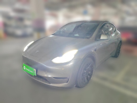 特斯拉 Model Y 2021款 标准续航后驱版
