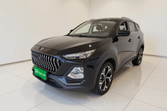 思皓X8 2021款 300T DCT领先智联版 6座