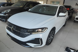 大众 朗逸 2023款 改款 1.5L 自动星空五百万版