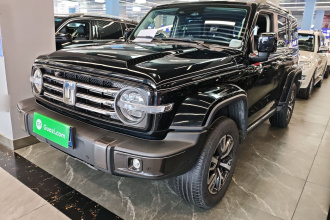 坦克300 2021款 城市版 2.0T 很有型