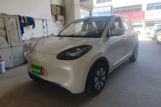 五菱汽车 五菱缤果 2025款 333km 悦享款