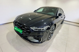 奥迪A7L 2024款 45 TFSI quattro 黑武士版