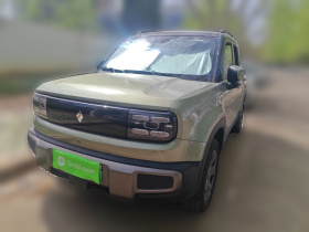 宝骏悦也Plus 2026款 301km旗舰版