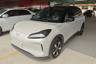 五菱汽车 五菱缤果PLUS 2024款 330km 五座版