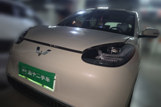五菱汽车 五菱缤果 2023款 203km 舒享款