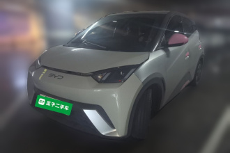 比亚迪 海鸥 2023款 自由版