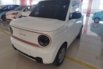 吉利银河 2024款 熊猫mini 200km 耐力熊