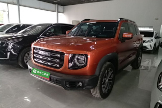 哈弗大狗 2021款 1.5T DCT两驱边牧版