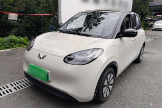 五菱汽车 五菱缤果 2024款 333km 灵犀互联款