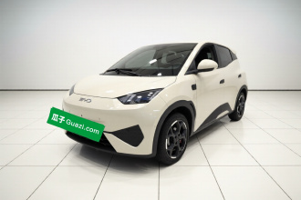 比亚迪 海鸥 2025款 智驾版 305km 自由版