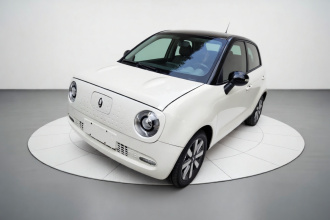 欧拉黑猫 2022款 351km 标准型 三元锂