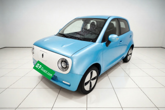 欧拉黑猫 2021款 301km 基础型