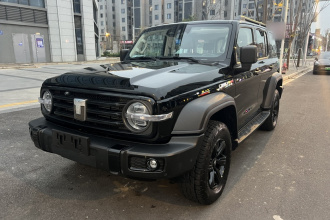 坦克300 2025款 2.4T 柴油版