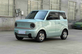 吉利银河 2023款 熊猫mini 200km 耐力熊