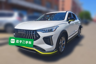 哈弗赤兔 2022款 劲享版 1.5T 紫铜兔