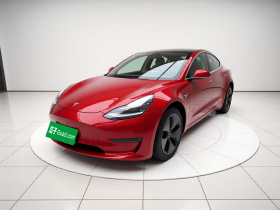 特斯拉 Model 3(进口) 2019款 长续航后驱版