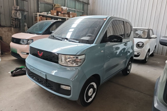 五菱汽车 宏光MINIEV 2022款 轻松款 磷酸铁锂