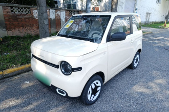 吉利银河 2025款 熊猫mini 210km 元气熊