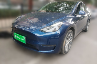 特斯拉 Model Y 2021款 长续航全轮驱动版