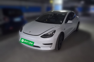 特斯拉 Model 3 2020款 标准续航后驱升级版
