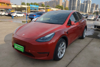 特斯拉 Model Y 2021款 长续航全轮驱动版 3D7