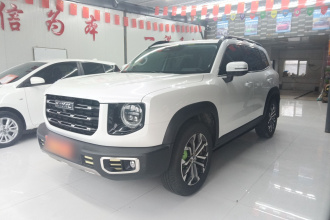 哈弗大狗 2021款 1.5T DCT两驱边牧版