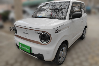 吉利银河 2024款 熊猫mini 200km 耐力熊