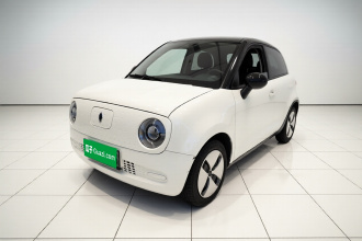 欧拉黑猫 2021款 301km 基础型