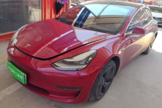 特斯拉 Model 3(进口) 2019款 长续航后驱版