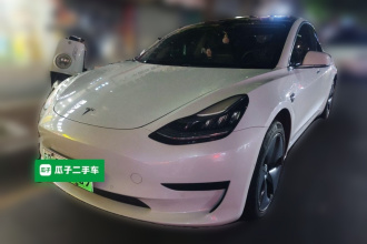 特斯拉 Model 3 2019款 标准续航后驱升级版
