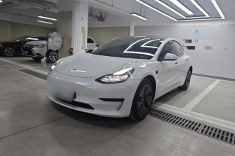 特斯拉 Model 3 2021款 标准续航后驱升级版