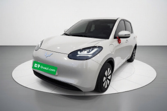 五菱汽车 五菱缤果 2024款 333km 悦享款