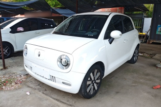 欧拉黑猫 2022款 351km 标准型 三元锂