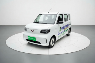 五菱汽车 五菱之光新能源 2025款 201km 标准型