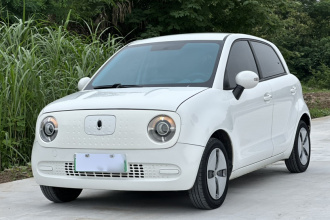 欧拉黑猫 2021款 301km 基础型