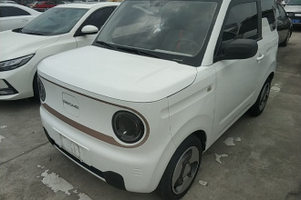 吉利银河 2023款 熊猫mini 200km 灵动熊