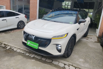 岚图汽车 岚图知音 2024款 四驱全球版