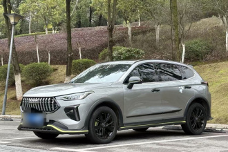 哈弗赤兔 2021款 激擎版 1.5T 铂金兔