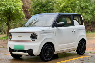 吉利银河 2023款 熊猫mini 200km 灵动熊