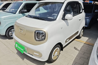 奔腾小马 2025款 222km 闪电马