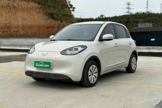 五菱汽车 五菱缤果 2023款 203km 轻享款