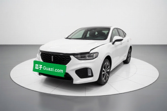 魏牌 VV5 2019款 1.5T 两驱颜先锋