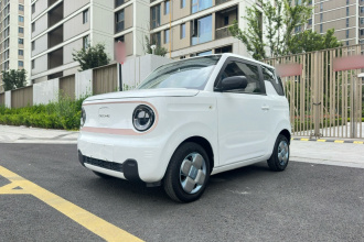 吉利银河 2024款 熊猫mini 200km 耐力熊